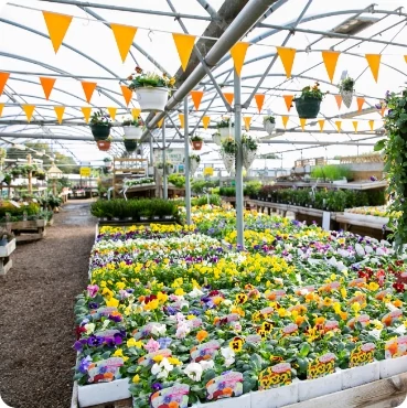 Plant-area-Oct-2021-3-1