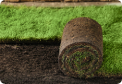 Image of a patch of turf being rolled out