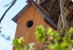 Image of a wooden bird house mounted on a tree.