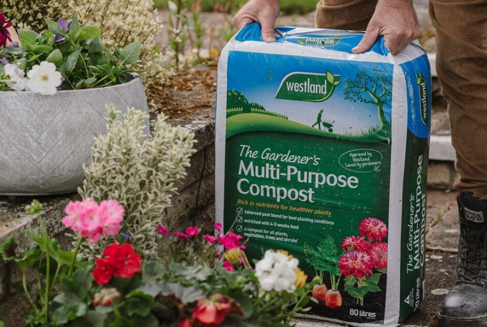 Image of Westlands multi purpose compost being used in a garden surrounded by pink and red flowers.